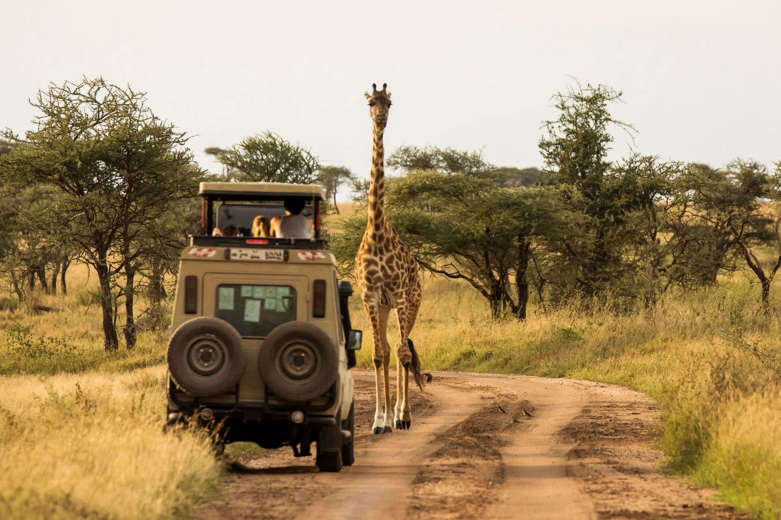 Private Guided Safaris